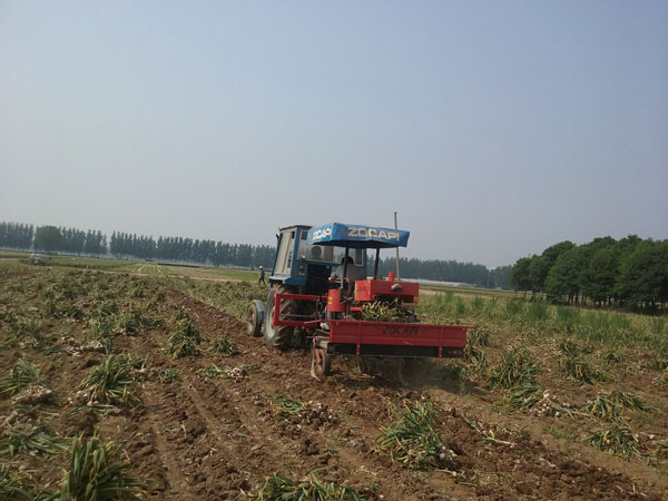 午夜美女福利视频收獲機