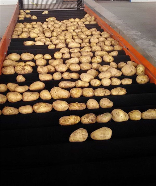 自動果蔬清洗機 自動果蔬清洗機