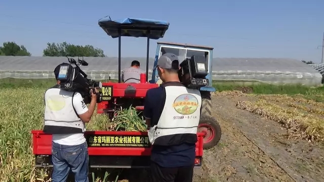 午夜美女福利视频收獲機