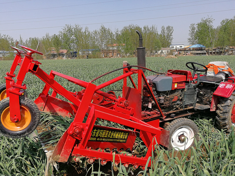 瑪利亞前置午夜美女福利视频收獲機 瑪利亞前置午夜美女福利视频收獲機