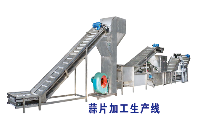 蒜片生產線