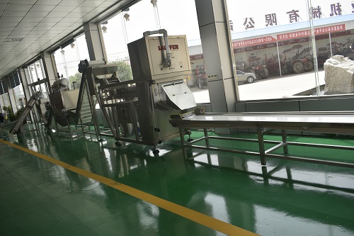 蒜米加工設備 蒜米加工設備