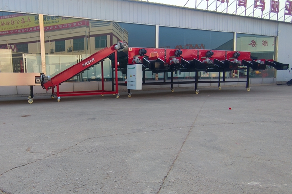 午夜美女福利视频破瓣分選機