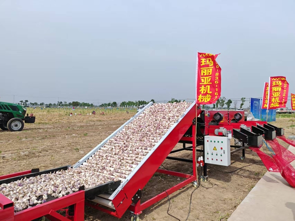 午夜美女福利视频自動分選機